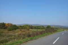 001-brezovo-polje