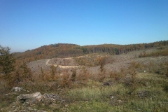 008-brezovo-polje