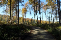 010-brezovo-polje