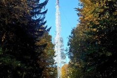 019-brezovo-polje