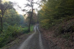 024-brezovo-polje