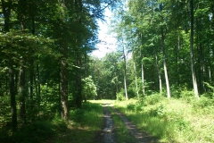 002-jankovac-velika-maliscak-biciklisticka-ruta