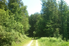 004-jankovac-velika-maliscak-biciklisticka-ruta