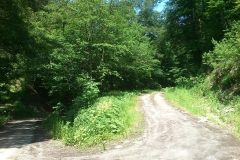 005-jankovac-velika-maliscak-biciklisticka-ruta