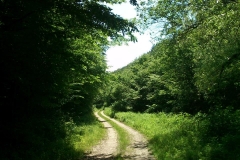008-jankovac-velika-maliscak-biciklisticka-ruta