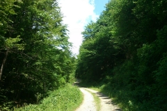 009-jankovac-velika-maliscak-biciklisticka-ruta