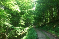 010-jankovac-velika-maliscak-biciklisticka-ruta