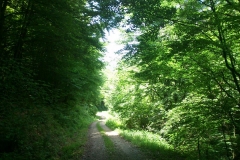 011-jankovac-velika-maliscak-biciklisticka-ruta