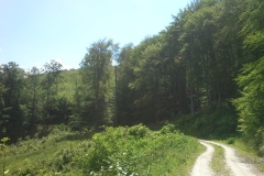 016-jankovac-velika-maliscak-biciklisticka-ruta