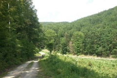 018-jankovac-velika-maliscak-biciklisticka-ruta