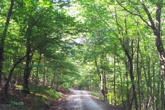 001-papuk-kapac-javor-biciklisticka-ruta