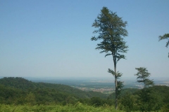 003-papuk-kapac-javor-biciklisticka-ruta