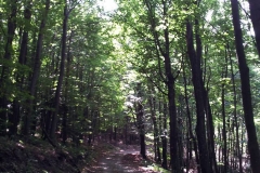 006-papuk-kapac-javor-biciklisticka-ruta