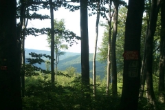 008-papuk-kapac-javor-biciklisticka-ruta