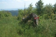 011-papuk-kapac-javor-biciklisticka-ruta