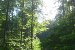 013-papuk-kapac-javor-biciklisticka-ruta