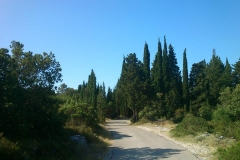 003-korcula-biciklisticke-rute