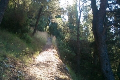 004-korcula-biciklisticke-rute