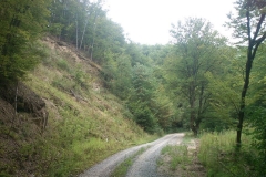 004-papuk-jarcoder-biciklisticka-ruta