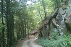 005-papuk-jarcoder-biciklisticka-ruta