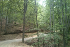 008-papuk-jarcoder-biciklisticka-ruta