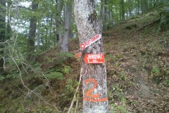 009-papuk-jarcoder-biciklisticka-ruta