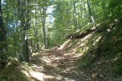 003-papuk-mrezarski-rust-biciklisticka-ruta