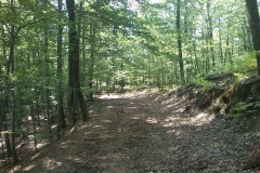 005-papuk-mrezarski-rust-biciklisticka-ruta