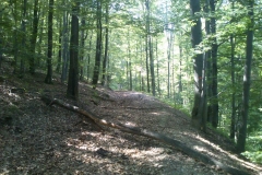 006-papuk-mrezarski-rust-biciklisticka-ruta