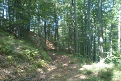 010-papuk-mrezarski-rust-biciklisticka-ruta