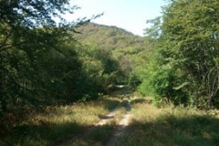 001-papuk-stari-grad-biciklisticka-ruta