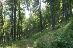 009-papuk-stari-grad-biciklisticka-ruta