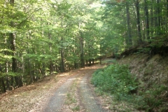 010-papuk-stari-grad-biciklisticka-ruta