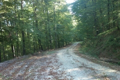001-krndija-petrov-vrh-biciklisticka-ruta