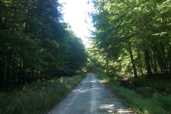 002-viroviticki-ribnjaci-biciklisticka-ruta