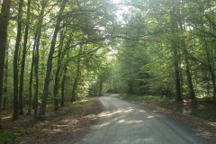 001-loncarski-vis-bedemgrad-biciklisticka-ruta