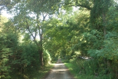 002-loncarski-vis-bedemgrad-biciklisticka-ruta