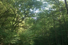 006-loncarski-vis-bedemgrad-biciklisticka-ruta