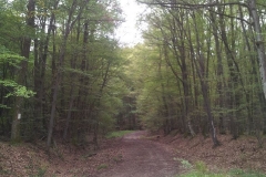 009-loncarski-vis-bedemgrad-biciklisticka-ruta