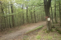 011-loncarski-vis-bedemgrad-biciklisticka-ruta