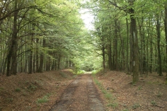 012-loncarski-vis-bedemgrad-biciklisticka-ruta