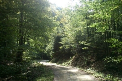008-biskupci-kamengrad-biciklisticka-ruta