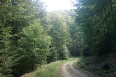 010-biskupci-kamengrad-biciklisticka-ruta