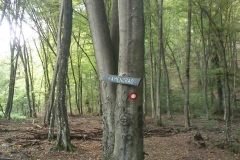 018-biskupci-kamengrad-biciklisticka-ruta