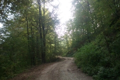 002-drenovac-trisnjica-jankovac-biciklisticka-ruta