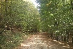 006-drenovac-trisnjica-jankovac-biciklisticka-ruta
