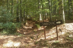 009-drenovac-trisnjica-jankovac-biciklisticka-ruta