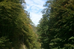 010-drenovac-trisnjica-jankovac-biciklisticka-ruta