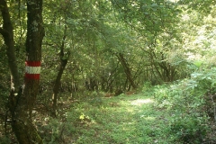 018-drenovac-trisnjica-jankovac-biciklisticka-ruta