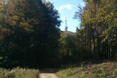 002-duzluk-manastir-kapavac-javor-cesljakovacki-vis-kamenolom